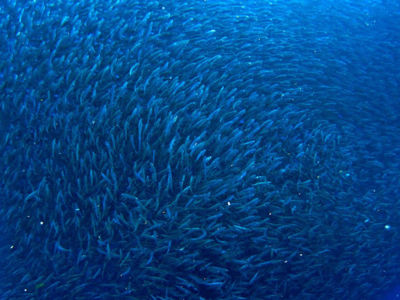 b6aa48ff5448f40151b74b722caf09ba6887b50d.jpg b6aa48ff5448f40151b74b722caf09ba6887b50d.jpg