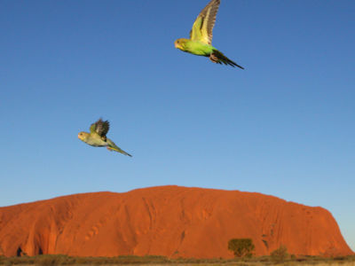 70d6d6be686c0be03335af636dfc5dccf48472eb.jpg 70d6d6be686c0be03335af636dfc5dccf48472eb.jpg