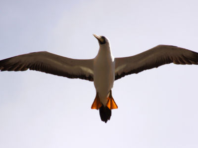 c8f39c3aee6d546343ecefc588bc37baaee0cce5.jpg c8f39c3aee6d546343ecefc588bc37baaee0cce5.jpg