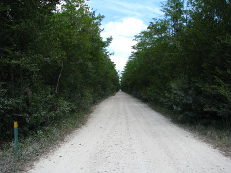 Big Cypress National Preserve