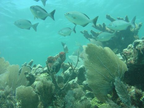 Biscayne National Park