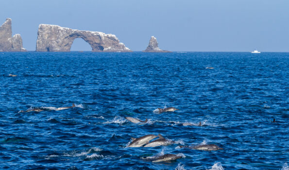Channel Islands National Park