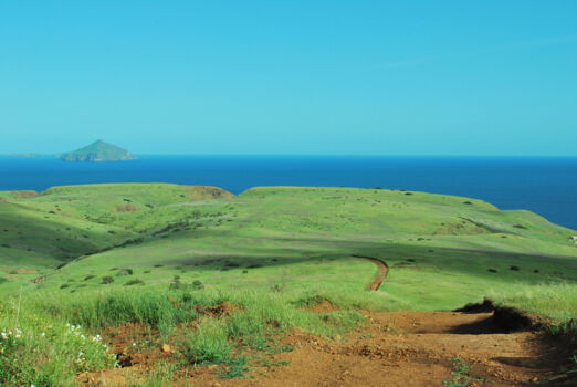 Channel Islands National Park
