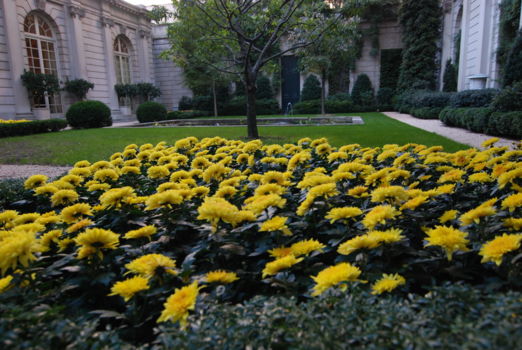 Frick Collection