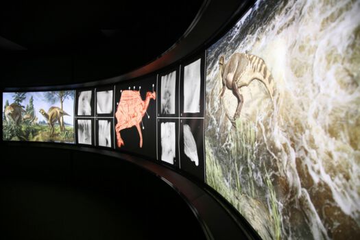 Houston Museum of Natural Science