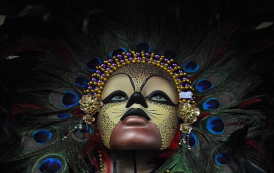 Mardi Gras (Amerika)