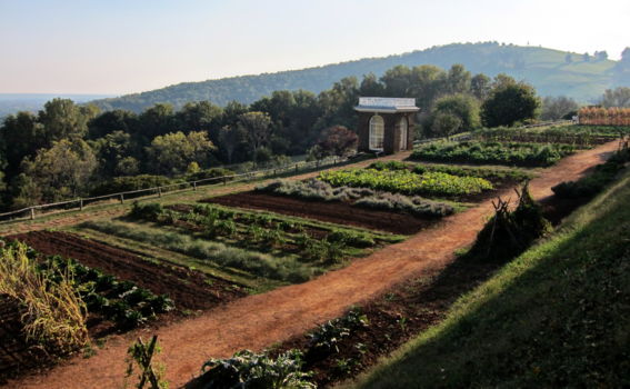 Monticello