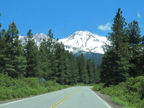 Mount Shasta
