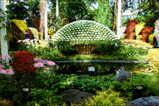 New York Botanical Garden