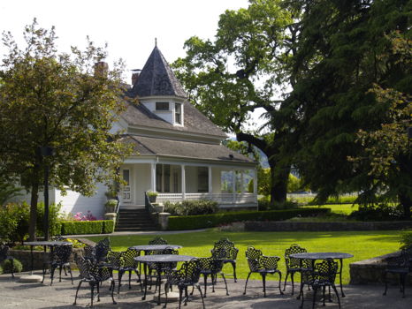 Niebaum Coppola wijngaard