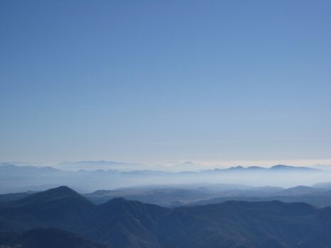 Palomar Mountain State Park