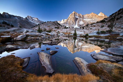 Sequoia en Kings Canyon National Park