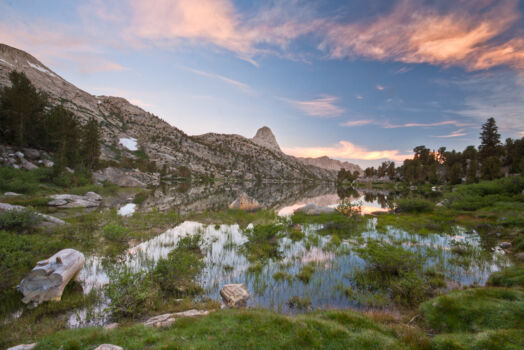 Sequoia en Kings Canyon National Park