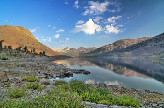 Sierra Nevada