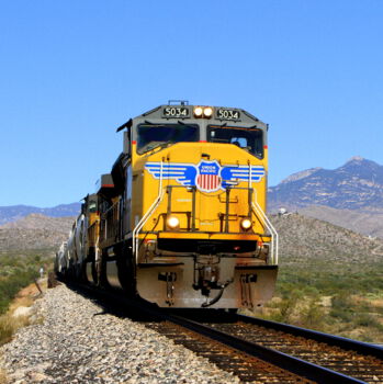 Singing Wind Bookshop