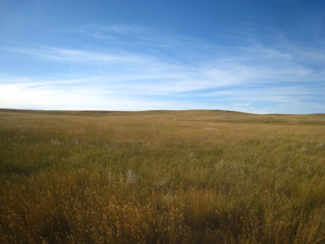 Theodore Roosevelt National Park