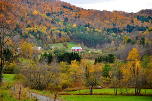 Vermont