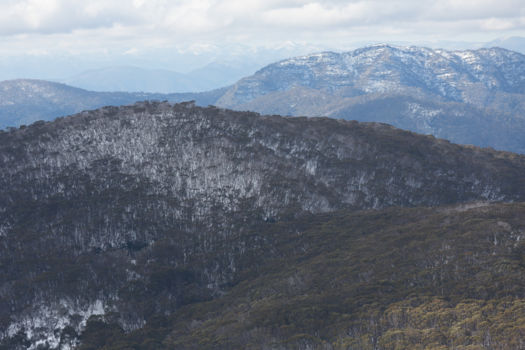 Blue Mountains Yulefest