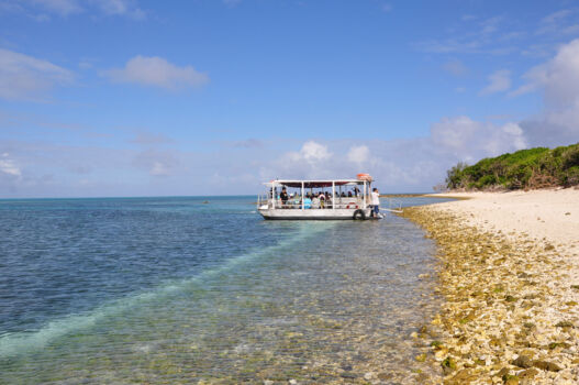 Lady Musgrave Island