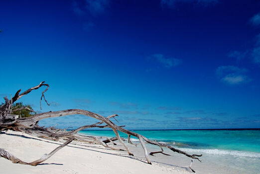 Lady Musgrave Island