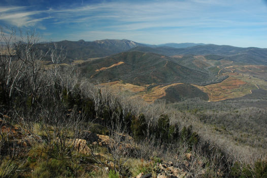 Namadgi National Park