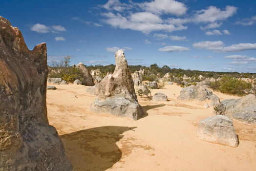 Nambung National Park (The Pinnacles)