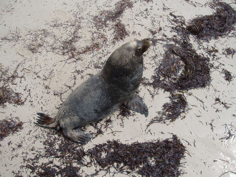 Recherche Archipelago