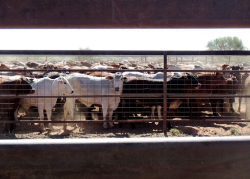 Slapen in een Outback homestead