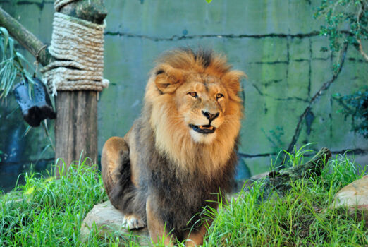 Taronga Zoological Park