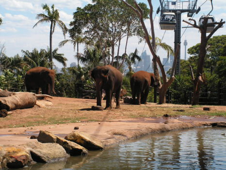 Taronga Zoological Park