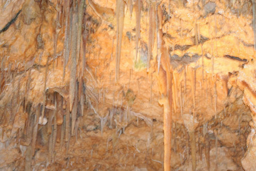 Yanchep National Park