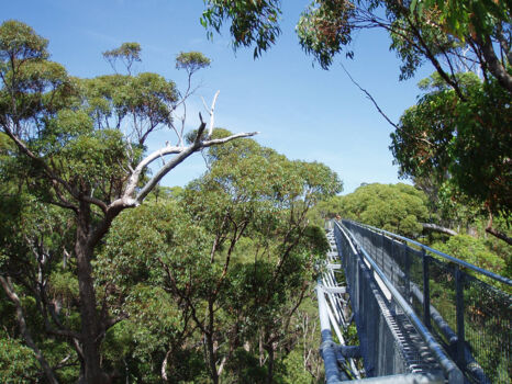 Zuidkust van Western Australia