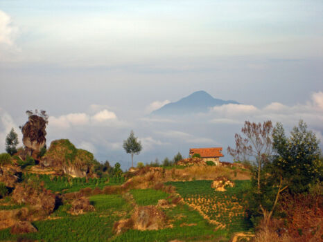 Dieng Plateau