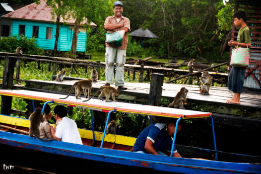 Pulau Kembang