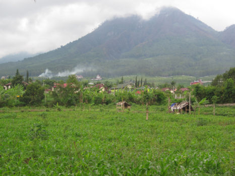 Batu