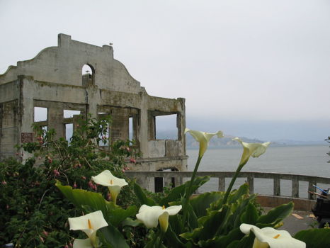 Alcatraz