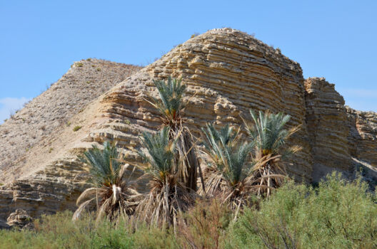 Big Bend National Park