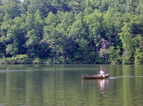Chattahoochee National Forest