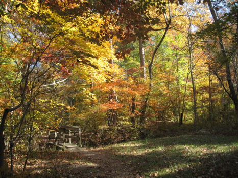 Chattahoochee National Forest