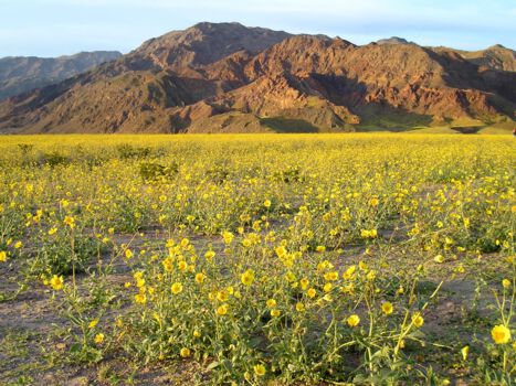 Death Valley National Park