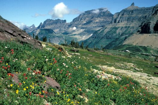 Glacier National Park