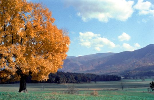 Great Smoky Mountains National Park