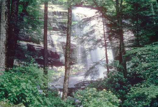Great Smoky Mountains National Park
