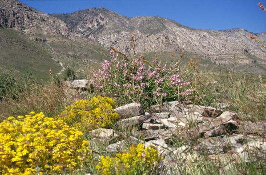 Guadalupe Mountains National Park