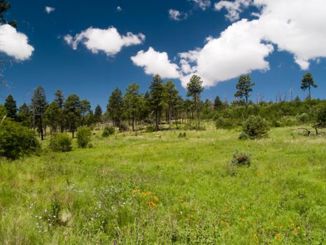 Guadalupe Mountains National Park