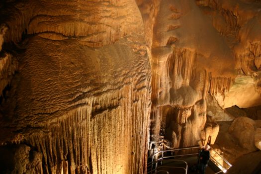 Mammoth Cave National Park