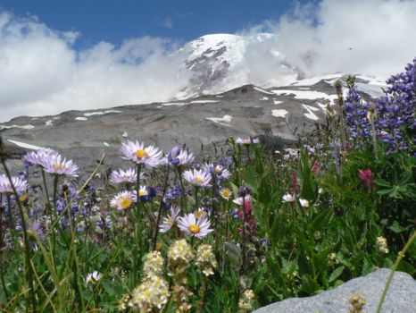 Mount Rainier National Park