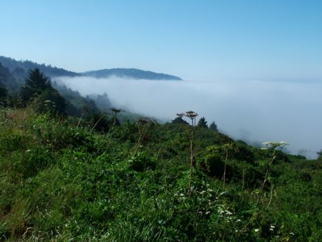 Redwood National Park