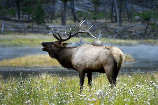 Wyoming