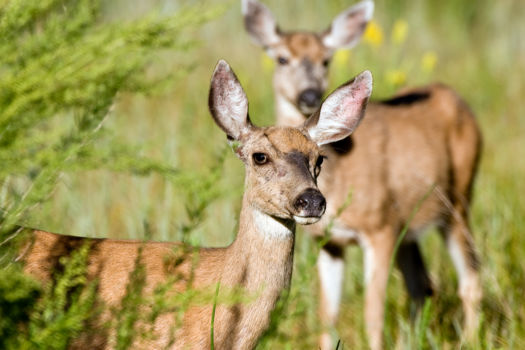 Yosemite National Park